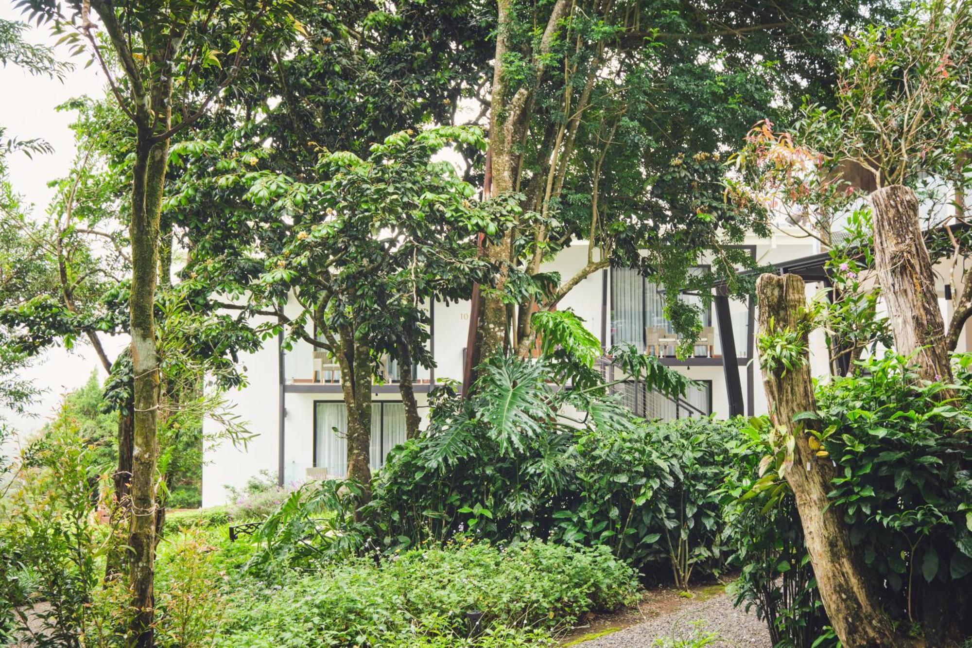Ocotea Boutique Hotel Monteverde Luaran gambar